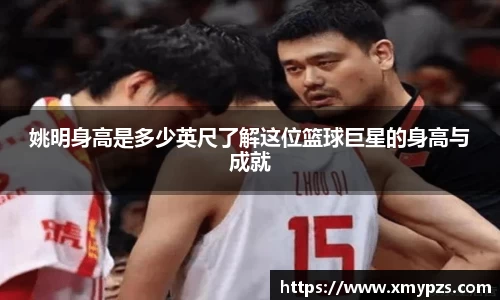 XBET星投官网