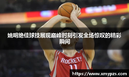 姚明绝佳球技展现巅峰时刻引发全场惊叹的精彩瞬间