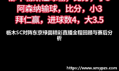 枥木SC对阵东京绿茵精彩直播全程回顾与赛后分析